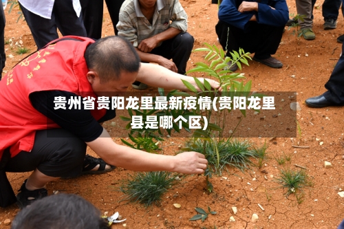 贵州省贵阳龙里最新疫情(贵阳龙里县是哪个区)-第2张图片