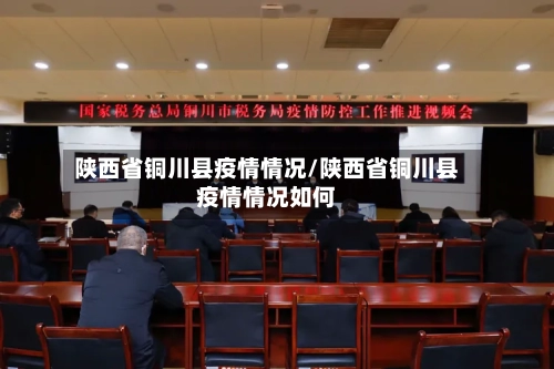 陕西省铜川县疫情情况/陕西省铜川县疫情情况如何-第2张图片