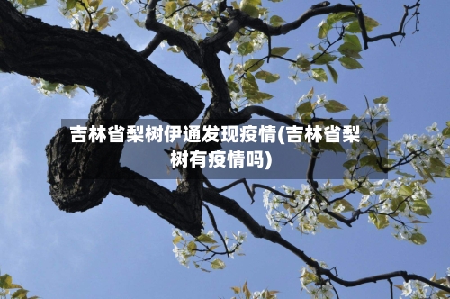 吉林省梨树伊通发现疫情(吉林省梨树有疫情吗)-第1张图片