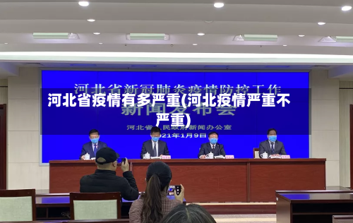 河北省疫情有多严重(河北疫情严重不严重)-第3张图片