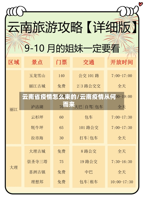 云南省疫情怎么来的/云南疫情从何而来-第1张图片