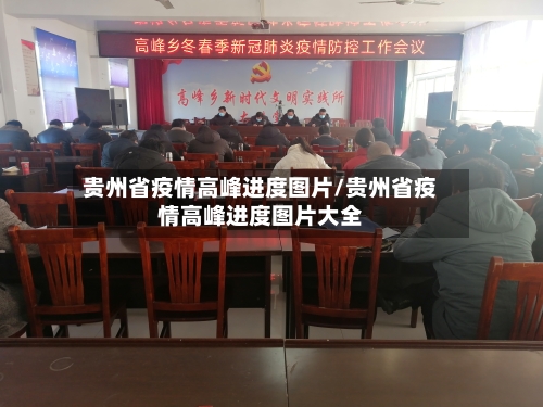 贵州省疫情高峰进度图片/贵州省疫情高峰进度图片大全-第1张图片
