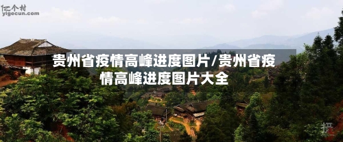 贵州省疫情高峰进度图片/贵州省疫情高峰进度图片大全-第3张图片