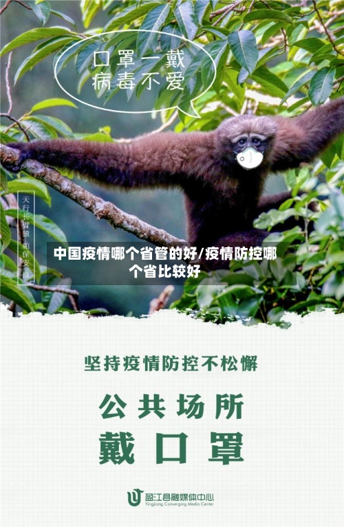 中国疫情哪个省管的好/疫情防控哪个省比较好-第1张图片