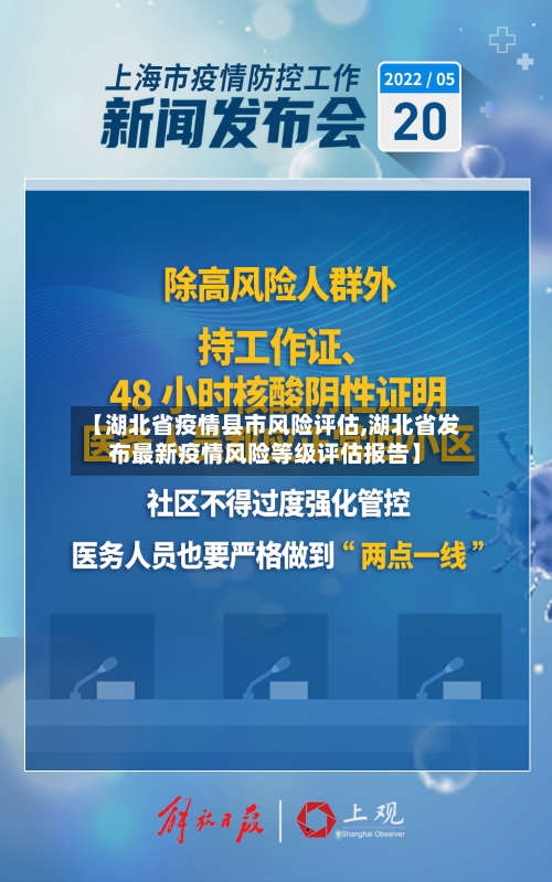 【湖北省疫情县市风险评估,湖北省发布最新疫情风险等级评估报告】-第1张图片