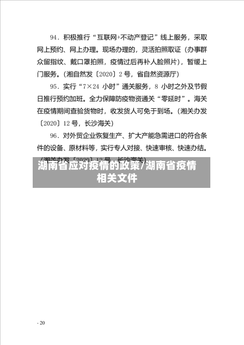 湖南省应对疫情的政策/湖南省疫情相关文件-第1张图片
