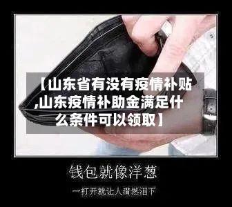 【山东省有没有疫情补贴,山东疫情补助金满足什么条件可以领取】-第3张图片