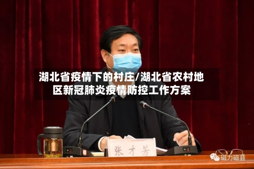 湖北省疫情下的村庄/湖北省农村地区新冠肺炎疫情防控工作方案-第2张图片