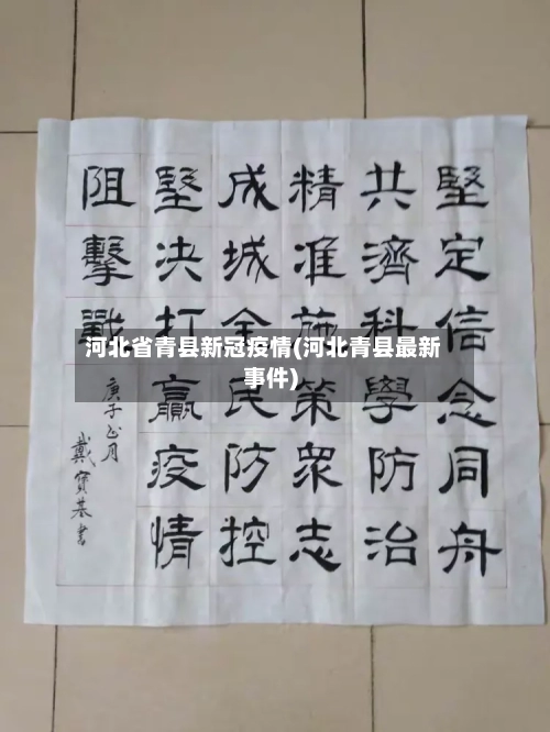河北省青县新冠疫情(河北青县最新事件)-第1张图片