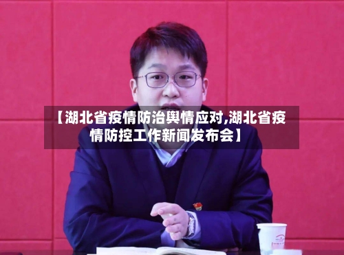 【湖北省疫情防治舆情应对,湖北省疫情防控工作新闻发布会】-第2张图片
