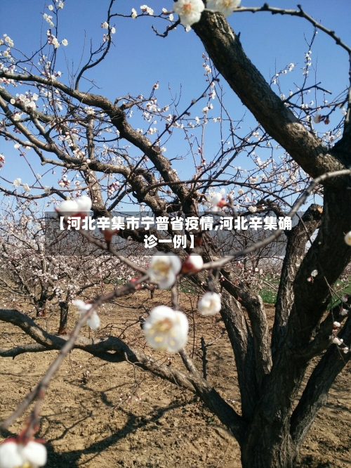 【河北辛集市宁普省疫情,河北辛集确诊一例】-第1张图片