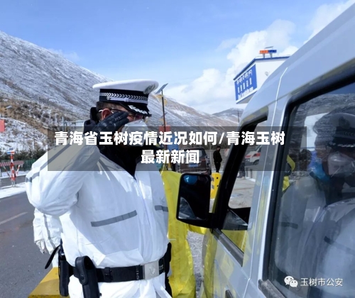青海省玉树疫情近况如何/青海玉树最新新闻-第2张图片