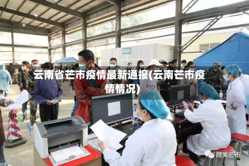云南省芒市疫情最新通报(云南芒市疫情情况)-第2张图片