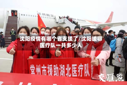 沈阳疫情有哪个省支援了/沈阳援鄂医疗队一共多少人-第1张图片