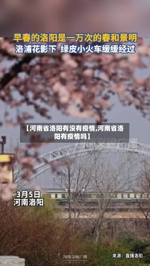 【河南省洛阳有没有疫情,河南省洛阳有疫情吗】-第2张图片