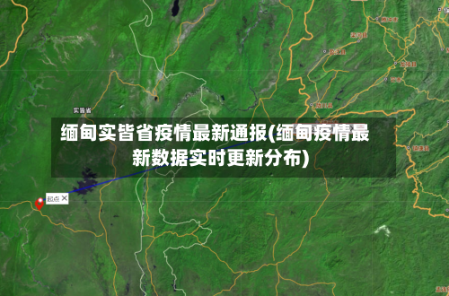 缅甸实皆省疫情最新通报(缅甸疫情最新数据实时更新分布)-第1张图片