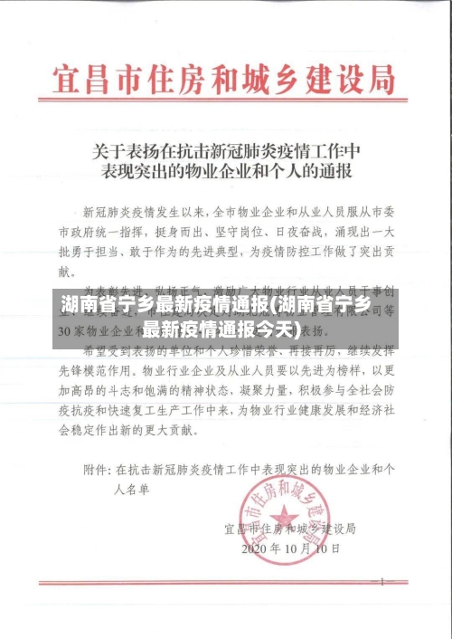 湖南省宁乡最新疫情通报(湖南省宁乡最新疫情通报今天)-第3张图片