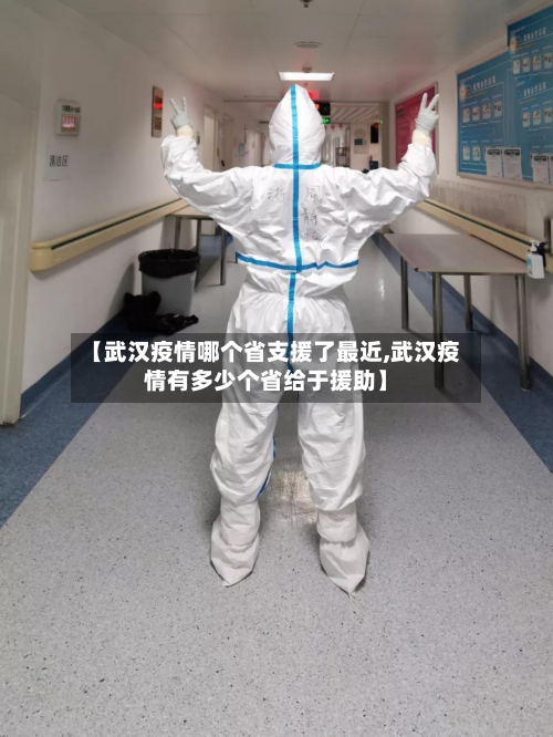 【武汉疫情哪个省支援了最近,武汉疫情有多少个省给于援助】-第2张图片