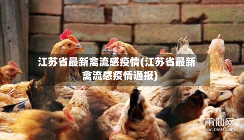 江苏省最新禽流感疫情(江苏省最新禽流感疫情通报)-第3张图片