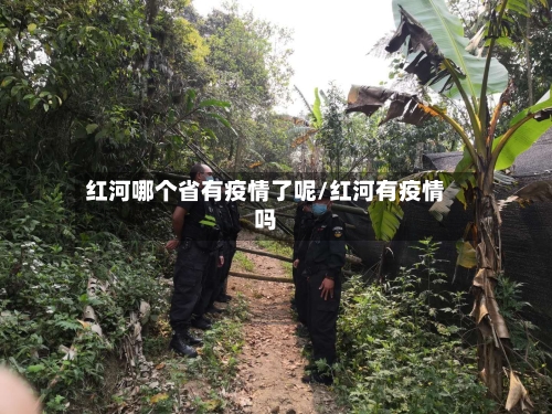 红河哪个省有疫情了呢/红河有疫情吗-第1张图片