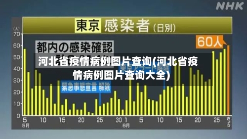 河北省疫情病例图片查询(河北省疫情病例图片查询大全)-第1张图片