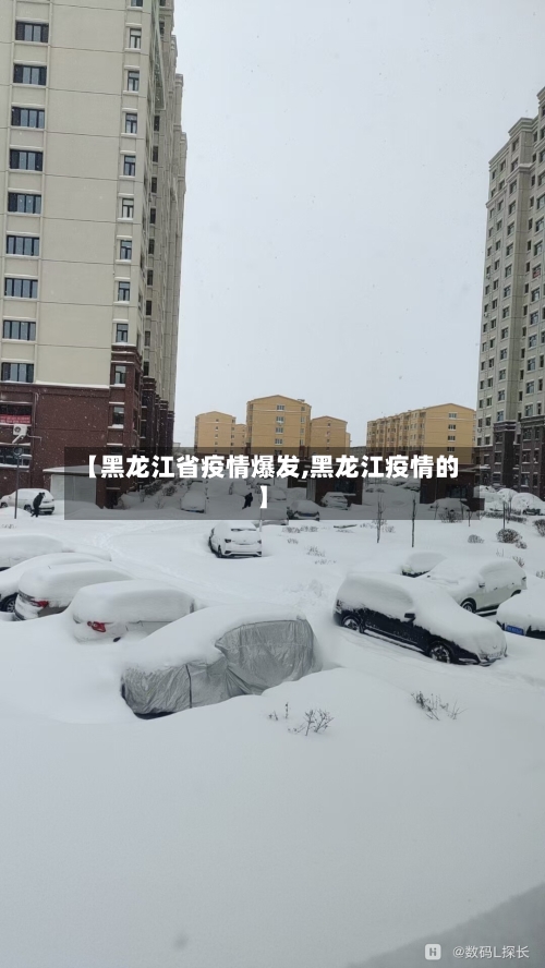 【黑龙江省疫情爆发,黑龙江疫情的】-第2张图片
