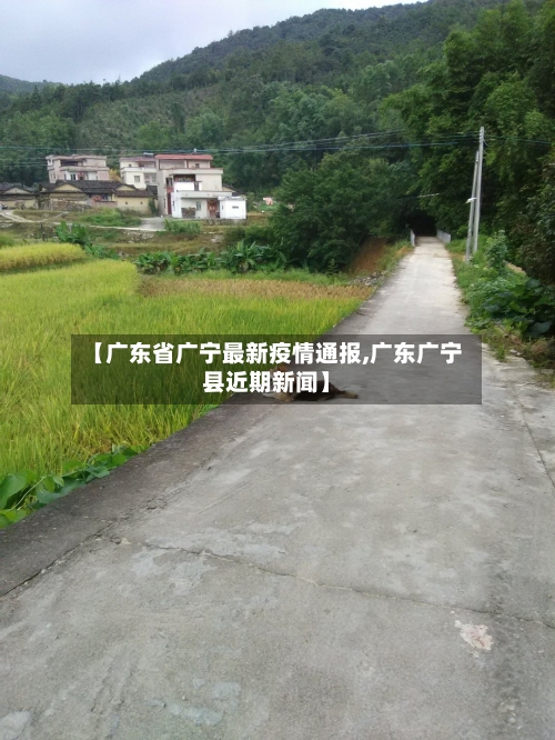 【广东省广宁最新疫情通报,广东广宁县近期新闻】-第1张图片