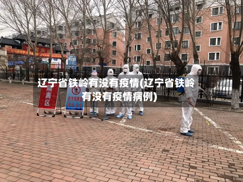 辽宁省铁岭有没有疫情(辽宁省铁岭有没有疫情病例)-第2张图片