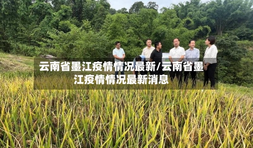 云南省墨江疫情情况最新/云南省墨江疫情情况最新消息-第2张图片