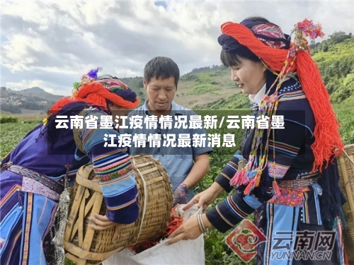 云南省墨江疫情情况最新/云南省墨江疫情情况最新消息-第1张图片