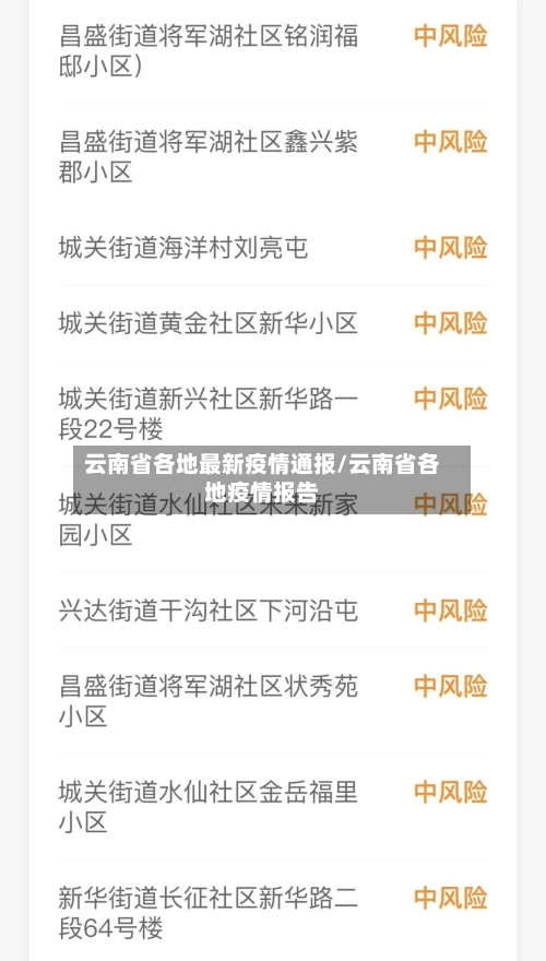 云南省各地最新疫情通报/云南省各地疫情报告-第3张图片