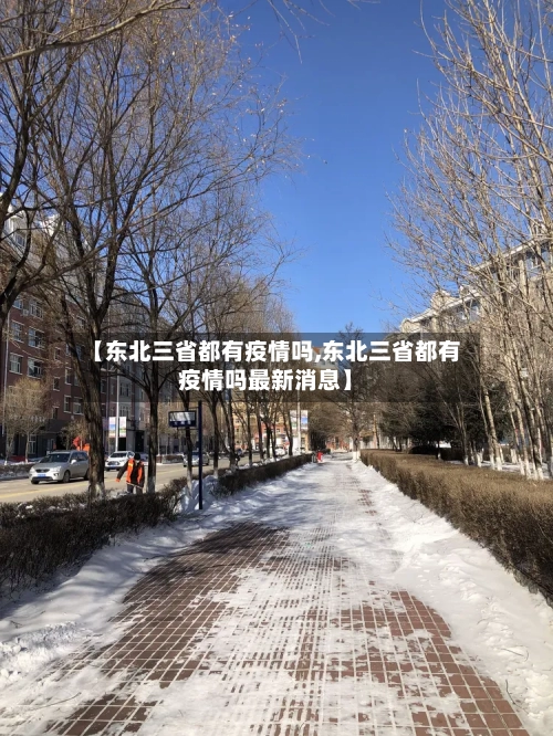 【东北三省都有疫情吗,东北三省都有疫情吗最新消息】-第3张图片