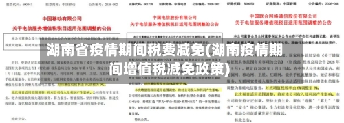 湖南省疫情期间税费减免(湖南疫情期间增值税减免政策)-第3张图片