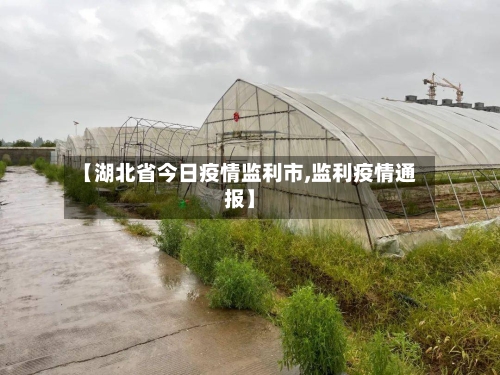 【湖北省今日疫情监利市,监利疫情通报】-第3张图片