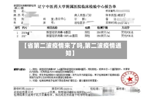 【省第二波疫情来了吗,第二波疫情通知】-第1张图片