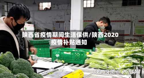 陕西省疫情期间生活保供/陕西2020疫情补贴通知-第1张图片