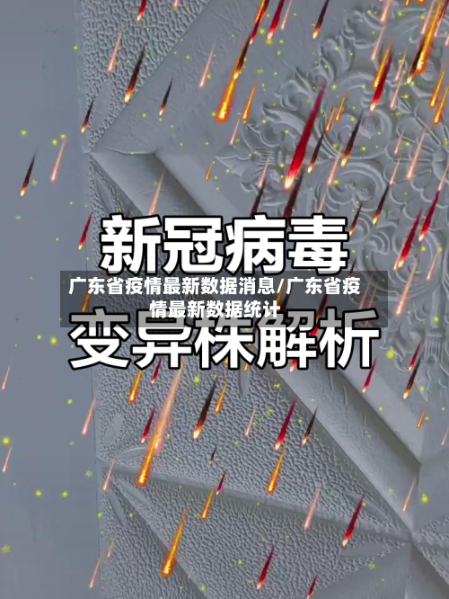广东省疫情最新数据消息/广东省疫情最新数据统计-第2张图片