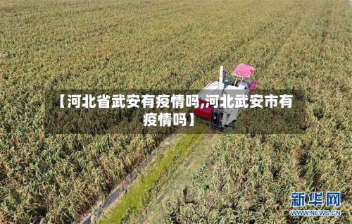 【河北省武安有疫情吗,河北武安市有疫情吗】-第1张图片