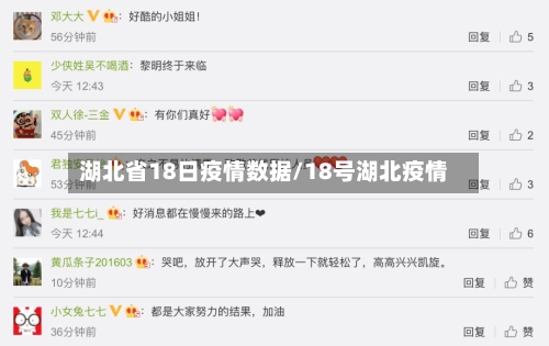 湖北省18日疫情数据/18号湖北疫情-第3张图片