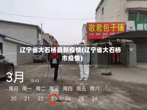 辽宁省大石桥最新疫情(辽宁省大石桥市疫情)-第3张图片
