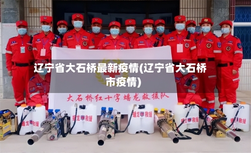 辽宁省大石桥最新疫情(辽宁省大石桥市疫情)-第2张图片