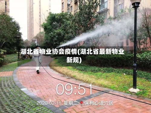 湖北省物业协会疫情(湖北省最新物业新规)-第3张图片