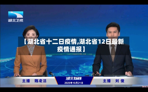 【湖北省十二日疫情,湖北省12日最新疫情通报】-第3张图片