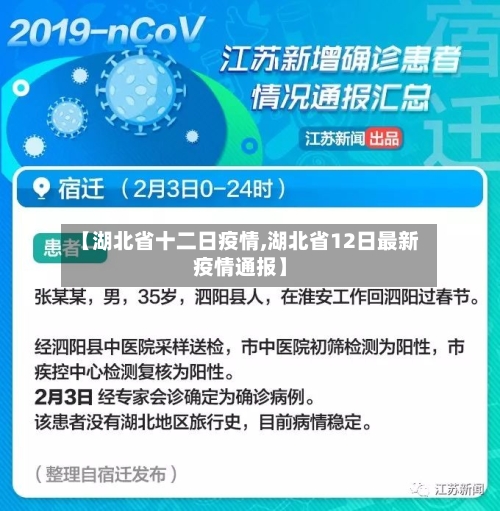 【湖北省十二日疫情,湖北省12日最新疫情通报】-第2张图片