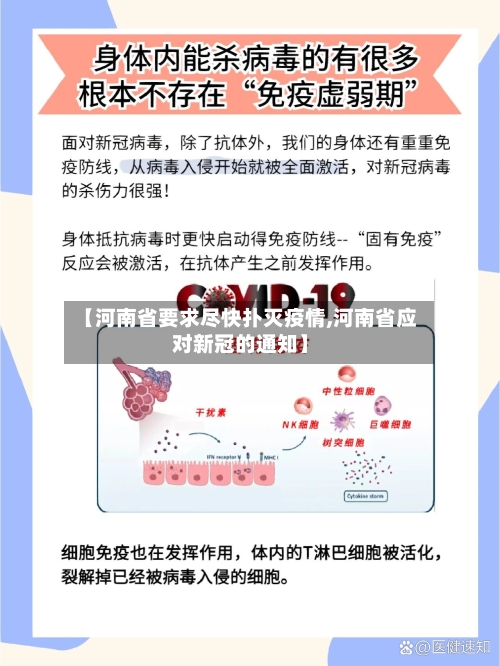 【河南省要求尽快扑灭疫情,河南省应对新冠的通知】-第2张图片