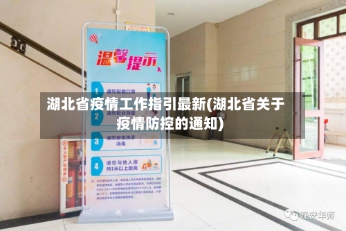 湖北省疫情工作指引最新(湖北省关于疫情防控的通知)-第2张图片