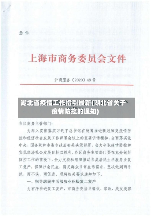 湖北省疫情工作指引最新(湖北省关于疫情防控的通知)-第1张图片