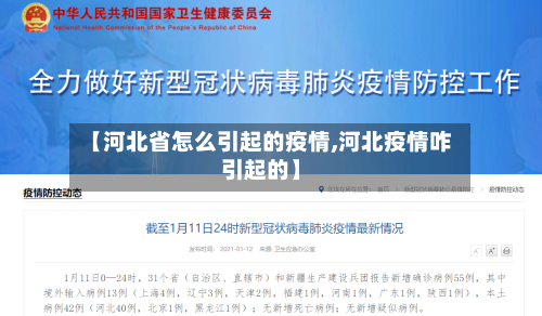 【河北省怎么引起的疫情,河北疫情咋引起的】-第2张图片