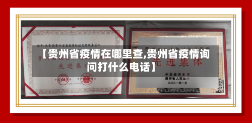 【贵州省疫情在哪里查,贵州省疫情询问打什么电话】-第1张图片