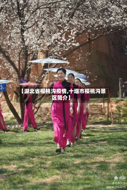 【湖北省樱桃沟疫情,十堰市樱桃沟景区简介】-第2张图片